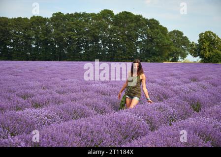 jeune femme en vêtements décontractés marche à travers un champ de lavande en fleurs, des couleurs naturelles Banque D'Images