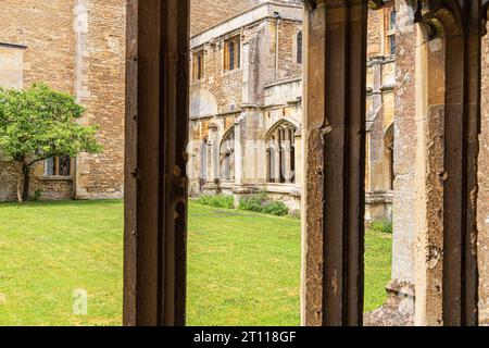 Le garth vu du cloître de Lacock Abbey, Lacock, Wiltshire, Angleterre Royaume-Uni Banque D'Images