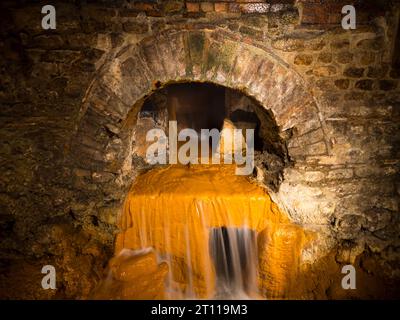 Débordement de printemps, bains romains, complexe de bains romains, bain, Somerset, Angleterre, Royaume-Uni, GB. Banque D'Images