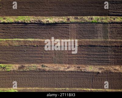 potager dans le village au début du printemps, de jeunes pousses vertes sont visibles dans la vue aérienne au sol, pas de gens Banque D'Images