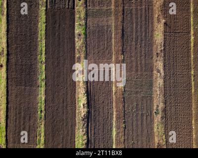 potager dans le village au début du printemps, de jeunes pousses vertes sont visibles dans la vue aérienne au sol, pas de gens Banque D'Images