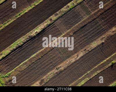 potager dans le village au début du printemps, de jeunes pousses vertes sont visibles dans la vue aérienne au sol, pas de gens Banque D'Images