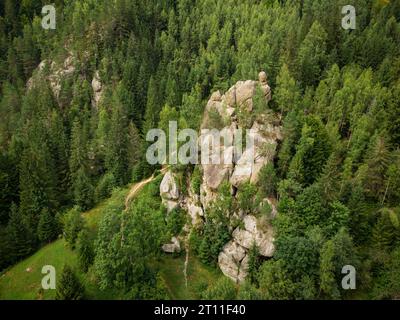 vue aérienne de haut en bas d'un rocher pittoresque situé parmi la forêt d'épinettes dans les montagnes Banque D'Images