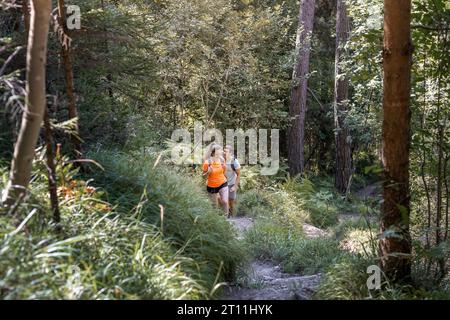 Jeune couple souriant avec des sacs à dos, randonneurs récréatifs profitant de la randonnée à travers une forêt verdoyante, marcher sur le sentier en montée. Banque D'Images
