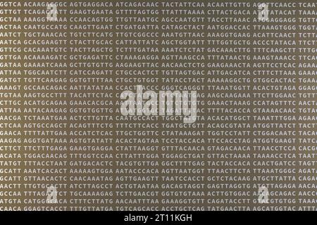 Lettres A C G T disposées aléatoirement. Les ACGT représentent les nucléobases adénine, cytosine, guanine et thymine présentes dans l'ADN, qui font partie de la structure du génome du covid 19 Banque D'Images