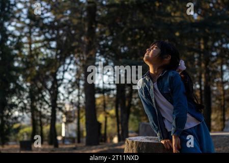 Petite fille levant les yeux dans une forêt, debout et appuyée sur une bûche. Banque D'Images