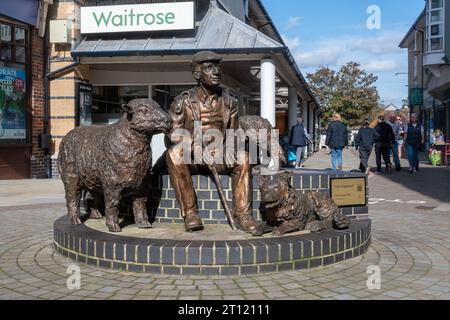 Sculpture du berger par Andy Cheese, statue avec berger et moutons dans le centre commercial Rams Walk, Petersfield, Hampshire, Angleterre, Royaume-Uni Banque D'Images