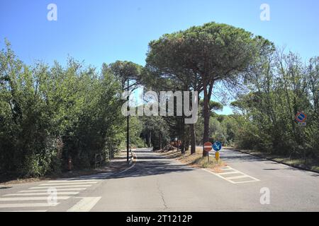 Partage de route dans un parc en bord de mer par une journée ensoleillée Banque D'Images