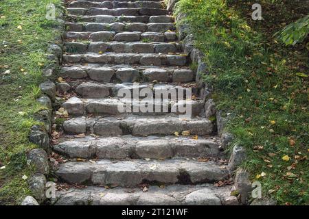 Escalier de marches en pierre menant à une colline envahie d'herbe verte. Banque D'Images