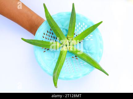 Gros plan d'okra frais isolé sur fond blanc. Légume d'okra vert frais isolé sur fond blanc. Okras sur fond blanc. Okra ou ladyf Banque D'Images