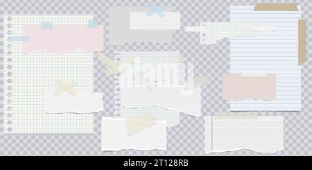 Feuille entière doublée de papier et morceaux déchirés avec des adges déchirés. Note doublée. Morceaux de papier pour bloc-notes avec du ruban adhésif collé sur gris. Maquette vierge pour le texte de Illustration de Vecteur