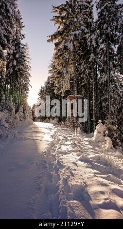 Winter Berge Schneefall verschneite Landschaft tief winterliche Landschaft blauer Himmel Sonnenschein Österreich Kärnten Banque D'Images