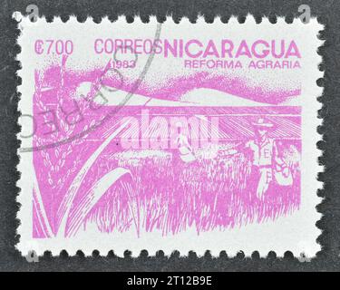 Timbre-poste annulé imprimé par le Nicaragua, qui montre des champs de riz, vers 1983. Banque D'Images