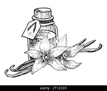 Huile essentielle de vanille avec fleurs et bâtonnets. Illustration vectorielle dessinée à la main de la bouteille transparente vintage pour l'aromathérapie sur fond isolé blanc. Flacon rétro Line art pour saveur cosmétique Illustration de Vecteur