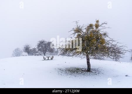 Beaucoup de neige à l'aire de pique-nique à côté du refuge du mont Aizkorri à Gipuzkoa. Paysage enneigé par les neiges d'hiver. Pays Basque, Espagne Banque D'Images