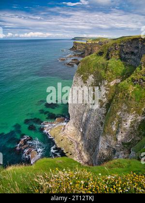 Hautes falaises côtières sur la côte d'Antrim, près de Giant's Causeway, Irlande du Nord. Les ruines du château de Dunluce apparaissent en arrière-plan. Pris sur un soleil Banque D'Images