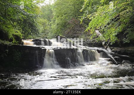 Lynn Falls, Dalry Banque D'Images