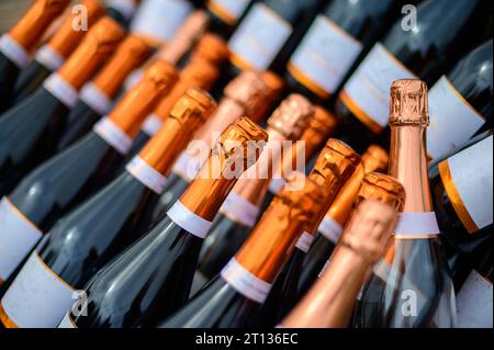 Fête, nombreuses bouteilles de champagne mousseux servies en plein air. Côte des Bar, Aube, sud de Champagne, France en été Banque D'Images