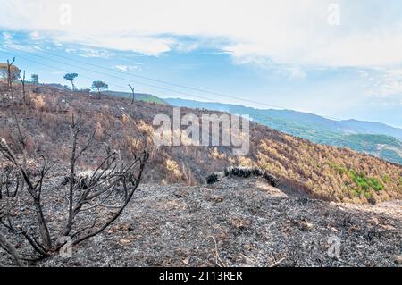 Panorama des montagnes calabraises brûlées par le feu Banque D'Images