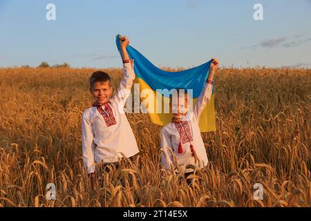 Jour du drapeau de l'indépendance de l'Ukraine. Jour de la Constitution. Ukrainien deux enfants en chemise brodée vyshyvanka avec drapeau jaune et bleu de l'Ukraine en fiel Banque D'Images