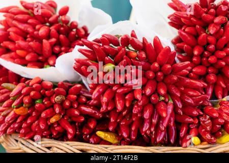 Gros plan d'un grand bouquet de piments rouges et orange frais sur un stand de marché à Venise, en Italie Banque D'Images