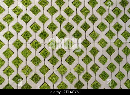 Motif pavé abstrait. Pavé avec de l'herbe verte dans le parking Banque D'Images