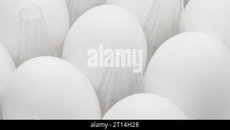 Plateau à œufs avec œufs blancs frais isolés sur fond blanc. Œufs de poulet frais biologiques dans une boîte en plastique. Banque D'Images