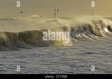 Les vagues se brisent sur les défenses marines lors d'un « raz de marée en mer du Nord » à Eccles-on-Sea, Norfolk, Royaume-Uni. Décembre Banque D'Images