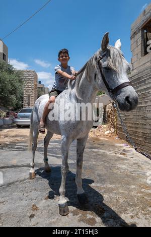 Bayt Surik, Palestine – 19 juin 2023 : Happy Young Arab Boy monte un beau cheval blanc et des sourires Banque D'Images