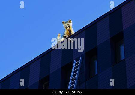 Kunst à Regensburg. Eine am Gebäude angestellte Leiter und eine vergoldete Katze auf dem Dach, sehen die Regensburger BEI der neu erbauten Berufsfeuerwehr in der Greflingerstrasse. Die Aluminiumguss-Katze Luzy ist 172 kilo schwer und vergoldet mit Blattgold. für die Realisierung des projekts standen 115000 Euro zur Verfügung. Luzy ist somit vermutlich die teuerste Katze im Land *** Art à Ratisbonne Une échelle attachée au bâtiment et un chat doré sur le toit, voir les gens de Ratisbonne au service d'incendie professionnel nouvellement construit dans Greflingerstrasse le chat en aluminium coulé Luzy pèse Banque D'Images