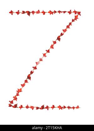 Lettre fantaisie Z, fabriquée à la main à l'aide de pétales de gladiolus rouges, sur fond blanc. Symbolisant la beauté, la nature, la vie, la tetxure et le motif. Banque D'Images