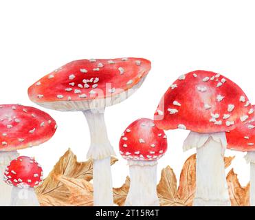 Agaric de mouche rouge. Bordure sans couture dessinée à la main à l'aquarelle. Champignon botanique réaliste Amanita muscaria pour produits écologiques, textiles, phytothérapie naturelle Banque D'Images