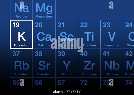 L'élément potassium sur le tableau périodique. Métal alcalin dont le symbole d'élément K provient du kalium et dont le numéro atomique est 19. Essentiel pour toutes les cellules vivantes. Banque D'Images