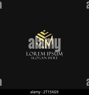 Monogramme initial TM avec logo de forme hexagonale, inspiration de conception de logo géométrique créatif Illustration de Vecteur