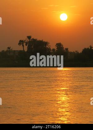 Des palmiers silhouettes sur les rives du Nil, comme un coucher de soleil frappant donne un soleil jaune vif dans un ciel orange. Banque D'Images