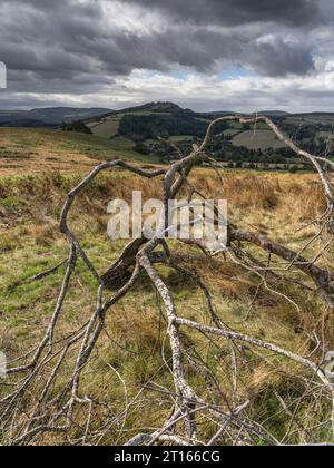 Belle et spectaculaire campagne dans le Shropshire Hills aonb, Church Stretton, Shropshire, Royaume-Uni Banque D'Images