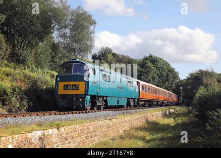 D1015 'Western Champion' passe Tenbury Wall lors du gala diesel SVR le 29.9,23. Banque D'Images