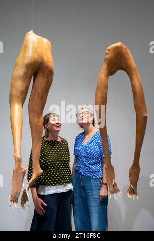 Londres, Royaume-Uni. 11 octobre 2023. Les visiteurs découvrent « Omega's Return », 2023, par Abigail Norris lors de l'avant-première en soirée à la foire inaugurale Women in Art des galeries Mall. Des femmes artistes, curatrices et galeristes de premier plan et émergentes montrent leurs œuvres dans le cadre d’une nouvelle initiative visant à corriger le déséquilibre entre les sexes dans l’industrie artistique. Le salon occupe les trois espaces de Mall Galleries du 11 au 14 octobre. Crédit : Stephen Chung / Alamy Live News Banque D'Images