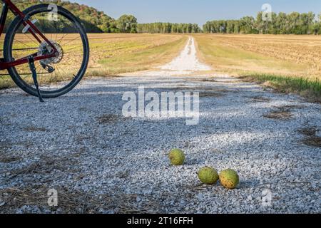 Des noix de pécan et un vélo de gravier sur Steamboat Trace Trail convertis de vieux chemin de fer près de Brownville, Nebraska Banque D'Images