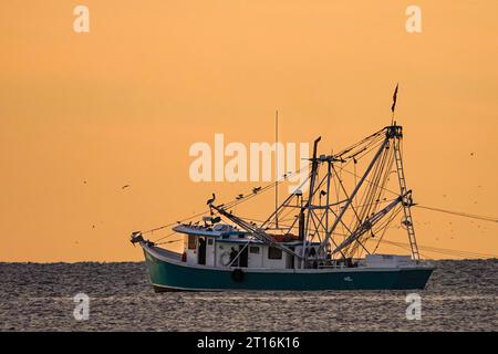 Île de Palms, États-Unis. 10 octobre 2023. Un chalutier crevettier traîne des filets au lever du soleil le long de la côte atlantique, le 10 octobre 2023 à Isle of Palms, Caroline du Sud. La crevette est une industrie traditionnelle dans le pays bas, mais elle a souffert de la chaleur extrême et du coût élevé du carburant diesel réduisant les captures et obligeant les crevettiers à fermer leurs activités. Crédit : Richard Ellis/Richard Ellis/Alamy Live News Banque D'Images