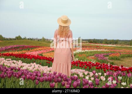 Femme dans le beau champ de tulipes, vue arrière Banque D'Images