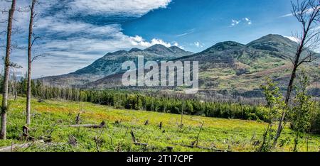 Une vue panoramique des montagnes verdoyantes dans le refuge national de faune de Kenai, péninsule de Kenai, Alaska Banque D'Images