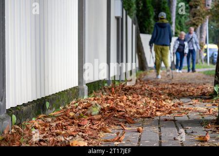 Des feuilles d'automne de couleur orange ont coïncidé sur un sentier avec une clôture blanche en arrière-plan que les gens passent Banque D'Images