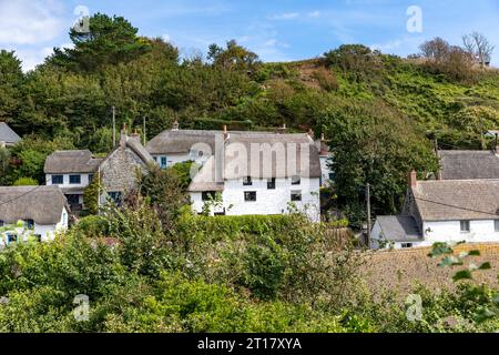 Septembre 2023, Cadgwith village en Cornouailles sur la péninsule de Lizard chalets de pêcheurs avec toits de chaume traditionnels, Angleterre, Royaume-Uni Banque D'Images