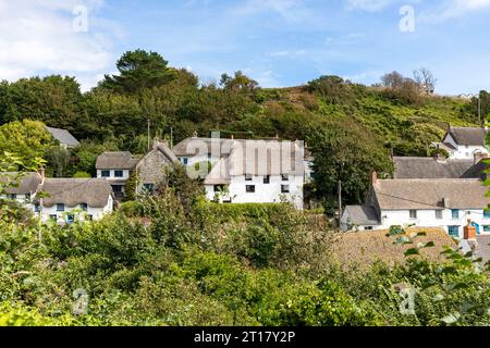 Septembre 2023, Cadgwith village en Cornouailles sur la péninsule de Lizard chalets de pêcheurs avec toits de chaume traditionnels, Angleterre, Royaume-Uni Banque D'Images