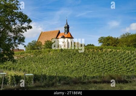 Die Wallfahrtskirche Maria im Weingarten in den Weinbergen BEI Volkach, Unterfranken, Bayern, Deutschland | l'église de pèlerinage Maria im Weingarten Banque D'Images