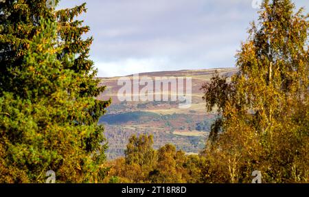 Dundee, Tayside, Écosse, Royaume-Uni. 12 octobre 2023. UK Météo : le gel pendant la nuit a apporté un beau soleil d'automne chaud à Tayside Écosse, avec des températures atteignant 16 ° C. Une magnifique vue automnale sur les collines Sidlaw et Strathmore Valley dans la campagne de Dundee. Crédit : Dundee Photographics/Alamy Live News Banque D'Images
