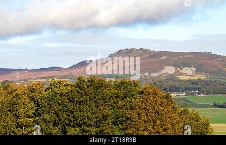 Dundee, Tayside, Écosse, Royaume-Uni. 12 octobre 2023. UK Météo : le gel pendant la nuit a apporté un beau soleil d'automne chaud à Tayside Écosse, avec des températures atteignant 16 ° C. Une magnifique vue automnale sur les collines Sidlaw et Strathmore Valley dans la campagne de Dundee. Crédit : Dundee Photographics/Alamy Live News Banque D'Images