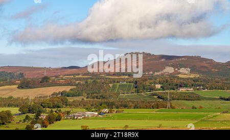 Dundee, Tayside, Écosse, Royaume-Uni. 12 octobre 2023. UK Météo : le gel pendant la nuit a apporté un beau soleil d'automne chaud à Tayside Écosse, avec des températures atteignant 16 ° C. Une magnifique vue automnale sur les collines Sidlaw et Strathmore Valley dans la campagne de Dundee. Crédit : Dundee Photographics/Alamy Live News Banque D'Images