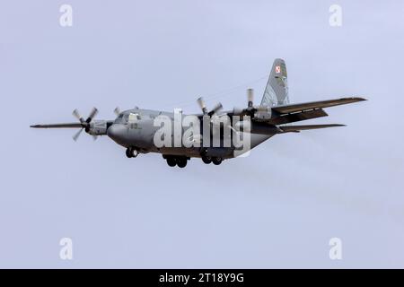 Polish Air Force Lockheed C-130E Hercules (L-382) (REG : 1504) avec une belle illustration de queue sur la piste finale 31. Banque D'Images